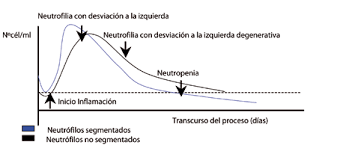 Cambios del leucograma en respuesta a la enfermedad inflamatoria